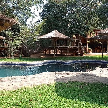 Elephant Trail Guesthouse And Backpackers Kasane Dış mekan fotoğraf