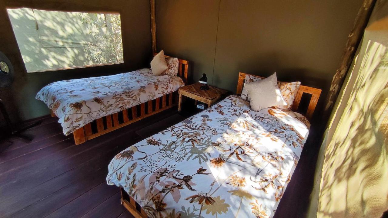 Elephant Trail Guesthouse And Backpackers Kasane Dış mekan fotoğraf