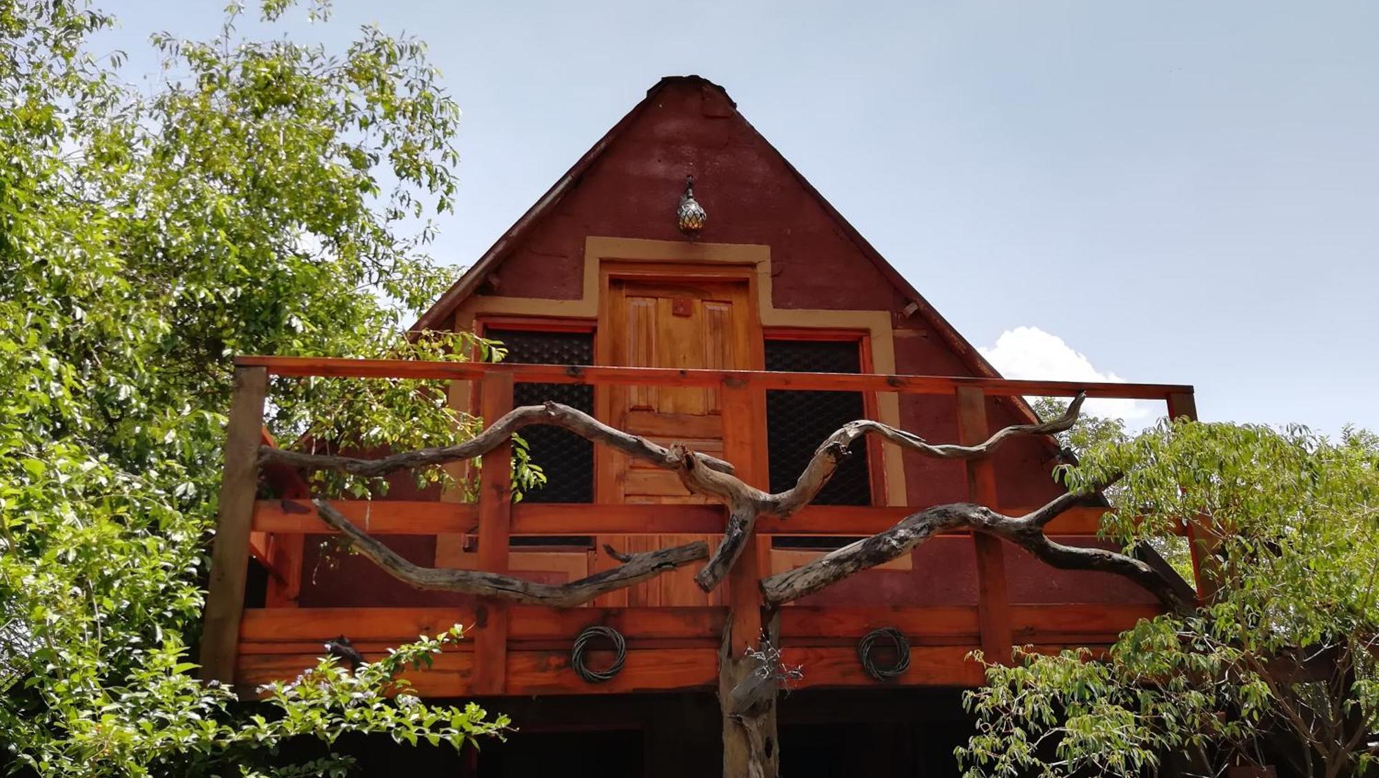 Elephant Trail Guesthouse And Backpackers Kasane Oda fotoğraf
