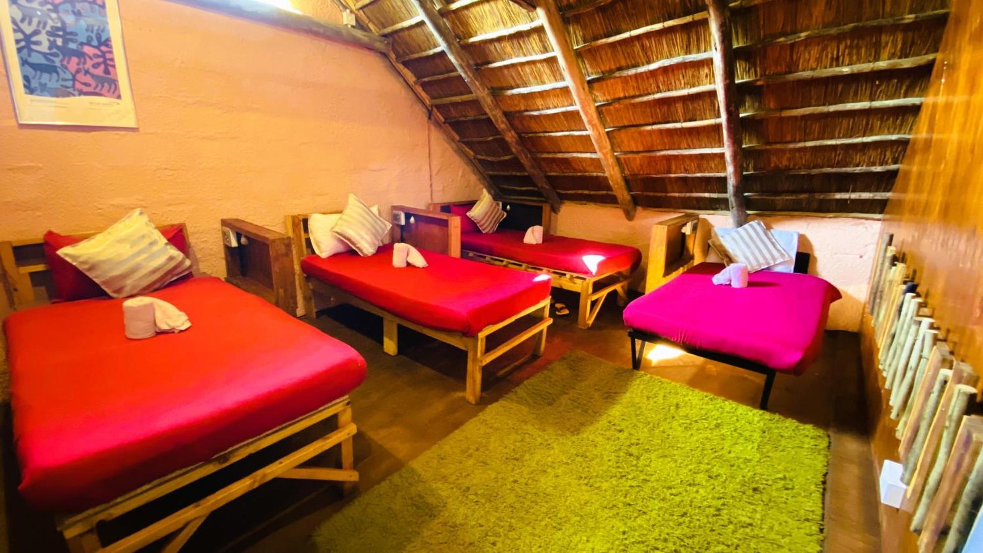 Elephant Trail Guesthouse And Backpackers Kasane Oda fotoğraf