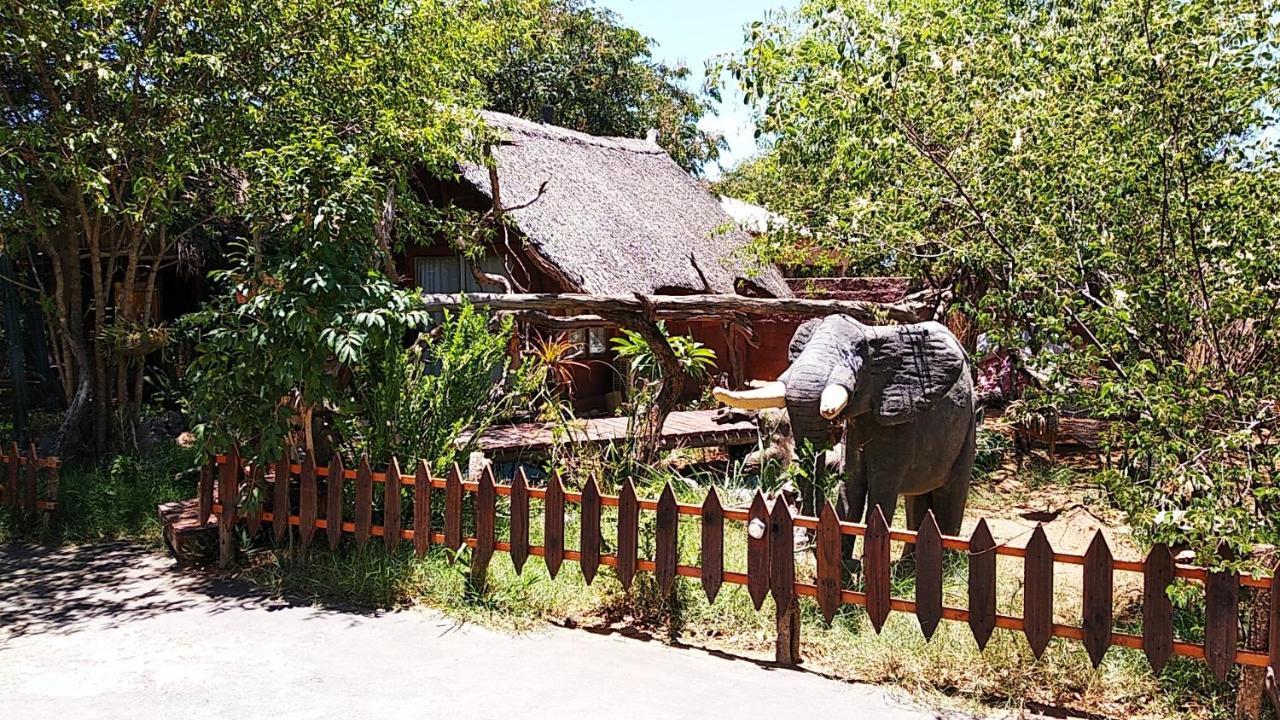 Elephant Trail Guesthouse And Backpackers Kasane Dış mekan fotoğraf