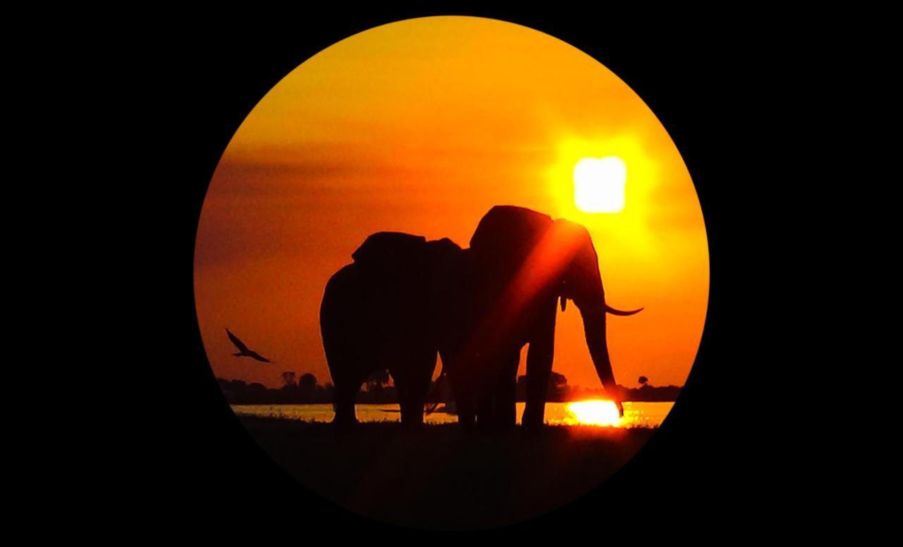 Elephant Trail Guesthouse And Backpackers Kasane Dış mekan fotoğraf